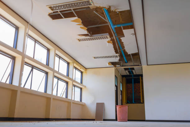 Best Local water damage restoration  in Holly Springs, GA