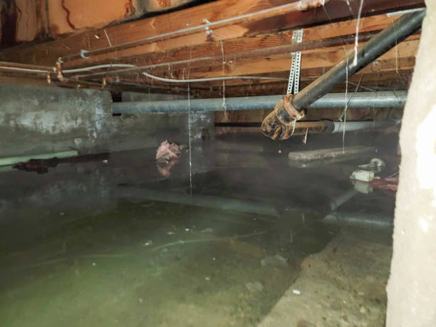 Best Ceiling water damage repair  in Holly Springs, GA