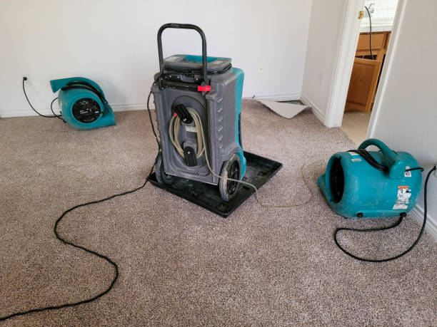 Best Water damage restoration experts  in Holly Springs, GA