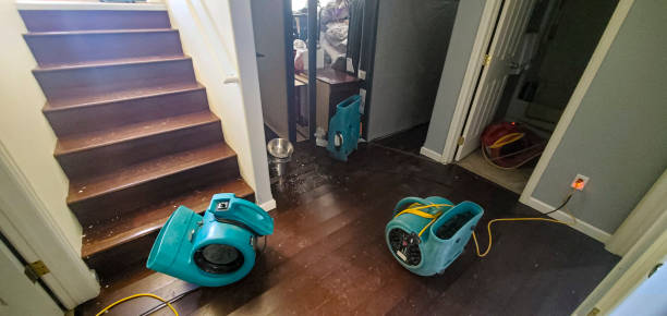 Best Emergency water extraction  in Holly Springs, GA