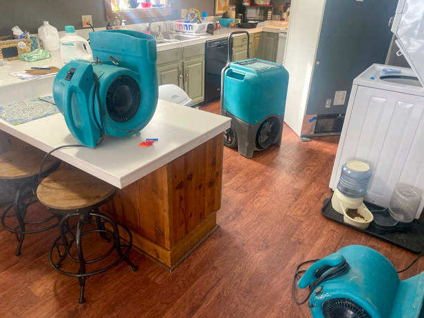 Best Flood damage cleanup  in Holly Springs, GA