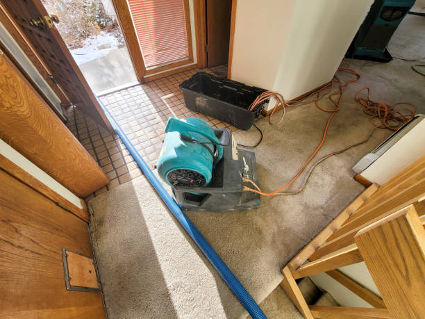 Holly Springs, GA Water damage restoration Pros