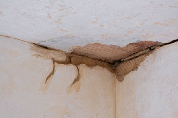 Best 24/7 water damage repair  in Holly Springs, GA