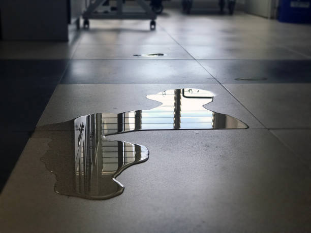 Best Commercial water damage restoration  in Holly Springs, GA